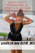 15370_M17-
