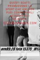 15375_M17-