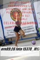 15378_M17-