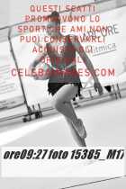 15385_M17-