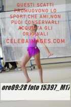 15397_M17-