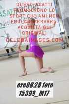 15399_M17-