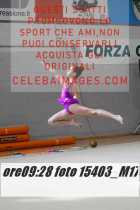 15403_M17-