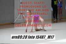 15407_M17-