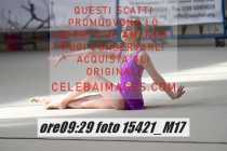 15421_M17-