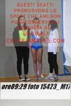 15423_M17-