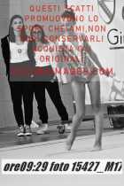 15427_M17-
