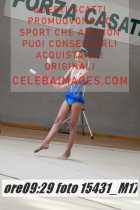 15431_M17-