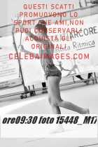 15448_M17-
