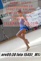 15451_M17-