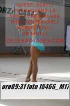 15466_M17-