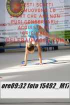 15492_M17-