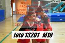 13201_M16