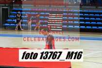 13767_M16