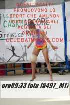 15497_M17-
