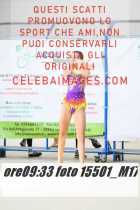 15501_M17-