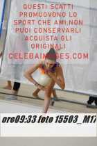 15503_M17-