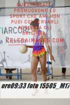 15505_M17-
