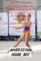 15506_M17-