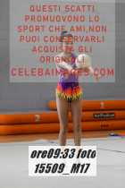 15509_M17-