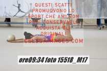 15518_M17-
