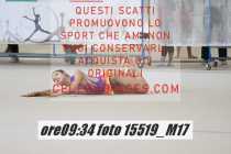 15519_M17-