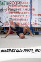 15523_M17-
