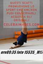 15535_M17-