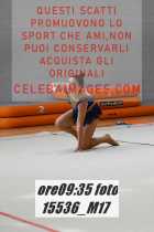 15536_M17-