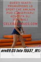 15537_M17-