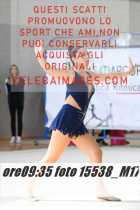 15538_M17-