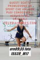 15539_M17-