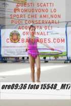 15548_M17-