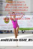 15549_M17-