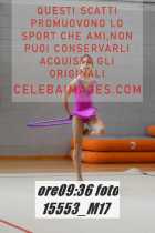 15553_M17-