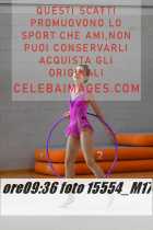 15554_M17-