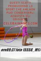 15556_M17-