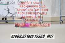 15560_M17-