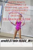 15564_M17-