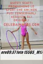 15565_M17-
