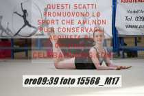 15568_M17-