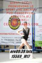 15569_M17-