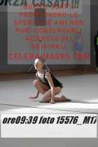15576_M17-