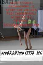 15578_M17-