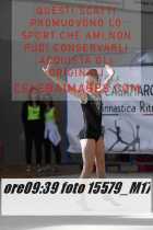 15579_M17-