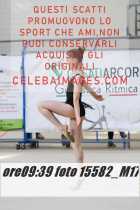 15582_M17-