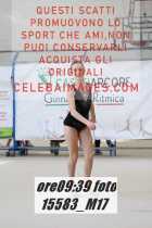 15583_M17-