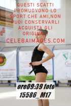 15586_M17-