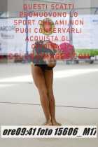 15606_M17-