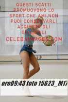15623_M17-